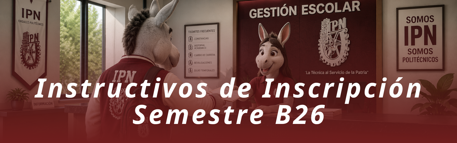 instructivos
